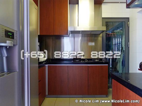 Blk 1D The Pinnacle@Duxton (Bukit Merah), HDB 4 Rooms #96042812